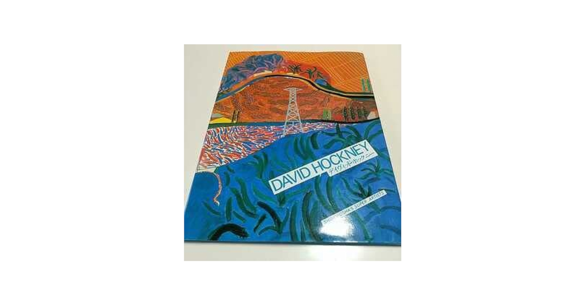 Amazon.co.jp: &DAVID HOCKNEY デイヴィッド・ホックニー 新潮社